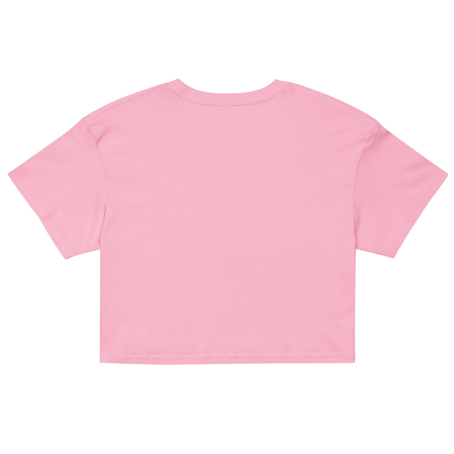 Women’s crop top / My Broke Baby Daddys