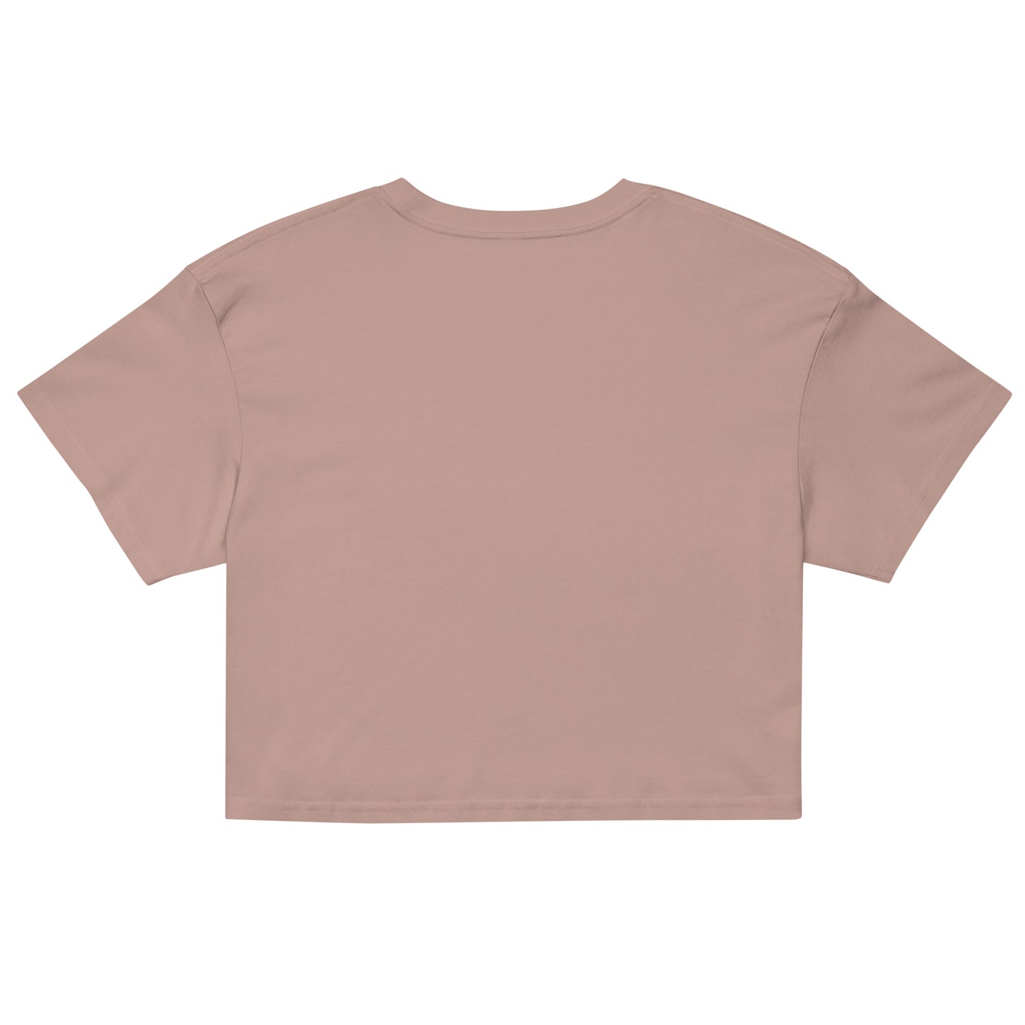 Women’s crop top / My Broke Baby Daddys