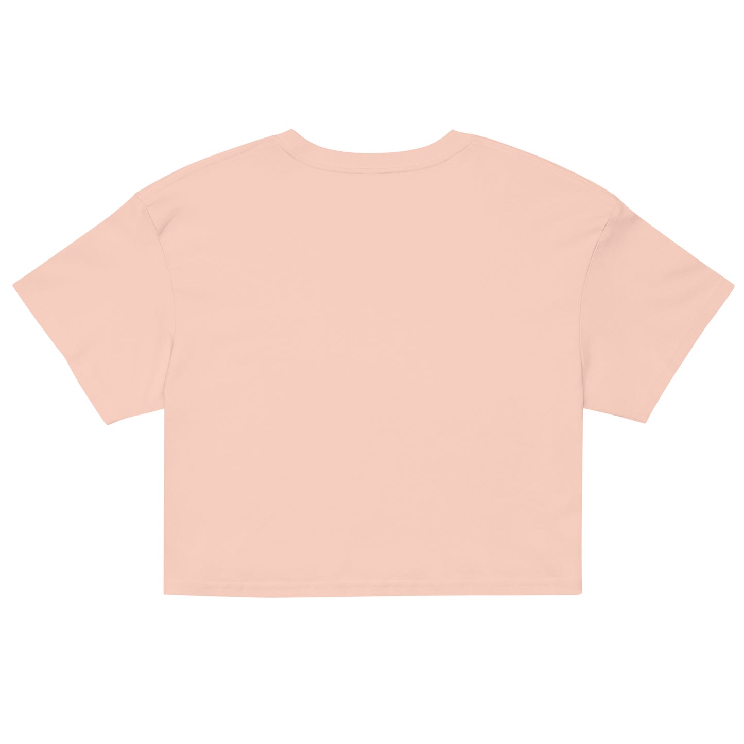 Women’s crop top / My Broke Baby Daddys